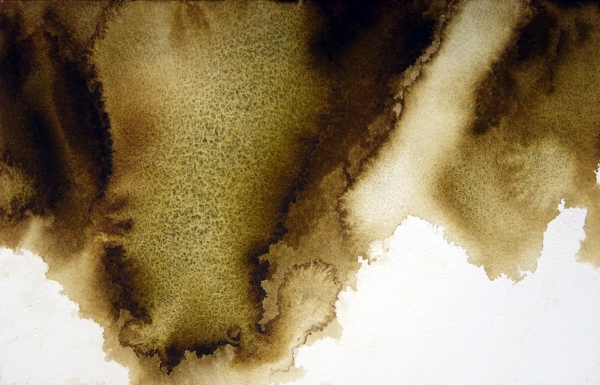 Picture of Mijello Tourmaline Two Tone Granulation Watercolour - Mud Umber 15ml SR-C (W841)
